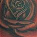 tattoo galleries/ - Rose - 64850